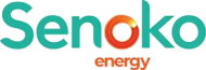 senoko_energy